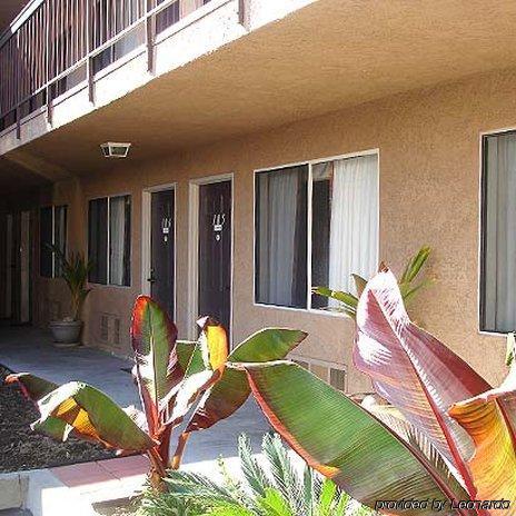 Motel Rivera &